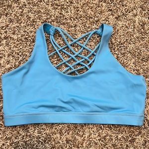 CVG Blue butterfly bra - large